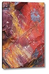 Arizona petrified forest for sale  Delivered anywhere in USA 