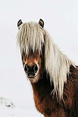 Icelandic horse journal for sale  Delivered anywhere in USA 