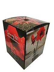 Red lion amaryllis for sale  Delivered anywhere in USA 