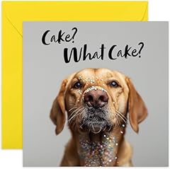Birthday cards fun for sale  Delivered anywhere in UK