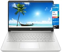 Notebook laptop display for sale  Delivered anywhere in USA 