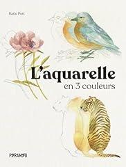 Aquarelle 3 couleurs d'occasion Aquarelle 3 couleurs d'occasion  Livré partout en France