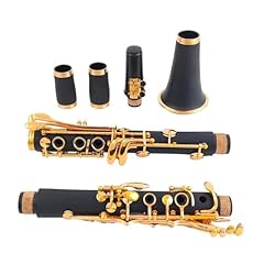 Buffet clarinetto sib usato  Spedito ovunque in Italia 