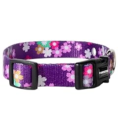 Pawsitive nylon collar for sale  Delivered anywhere in USA 