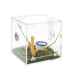Acrylic critter keeper for sale  Delivered anywhere in USA 