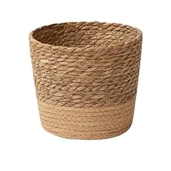 Jute rope plant for sale  Delivered anywhere in USA 