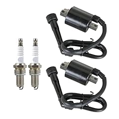 Waltyotur 2pcs ignition for sale  Delivered anywhere in USA 