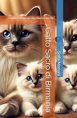 Gatto sacro birmania usato  Spedito ovunque in Italia 