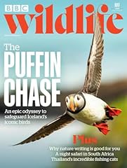 Bbc wildlife magazine for sale  Delivered anywhere in UK
