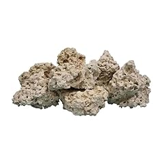 Nature ocean atlantic for sale  Delivered anywhere in USA 
