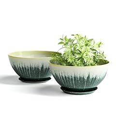 Plant pots inch for sale  Delivered anywhere in USA 