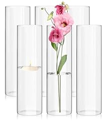 Pack glass cylinder for sale  Delivered anywhere in USA 