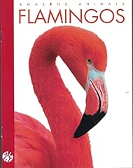 Amazing animals flamingos for sale  Delivered anywhere in USA 