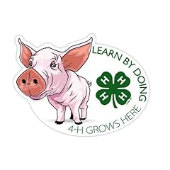 Swine learn h for sale  Delivered anywhere in USA 