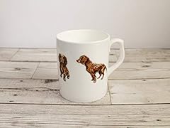 Cocker spaniel dog for sale  Delivered anywhere in UK