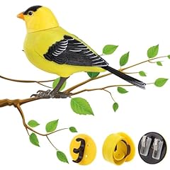 Electric singing chirping for sale  Delivered anywhere in USA 