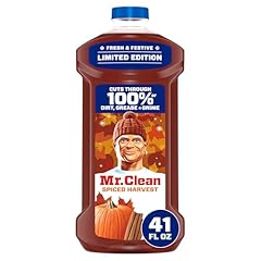 Mr. clean purpose for sale  Delivered anywhere in USA 