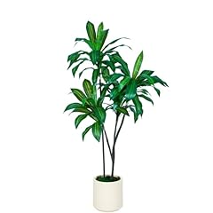 Vivatrees 5ft tall for sale  Delivered anywhere in USA 