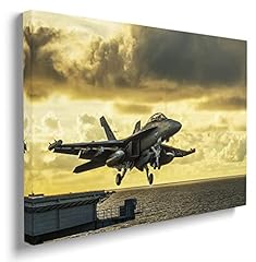 Pavaieics airplane canvas for sale  Delivered anywhere in USA 