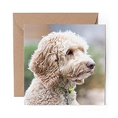 Greeting card labradoodle for sale  Delivered anywhere in UK