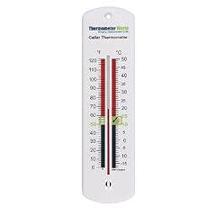Termometro cantina per usato  Spedito ovunque in Italia 