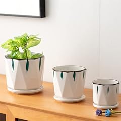 Inch plant pots for sale  Delivered anywhere in USA 