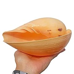 Muscheldekoration große meere gebraucht kaufen  Wird an jeden Ort in Deutschland