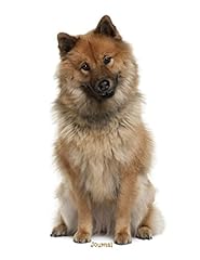 Journal eurasier d'occasion  Livré partout en France