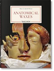 Anatomical waxes. 45th for sale  Delivered anywhere in UK