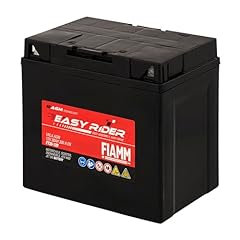 Fiamm batteria per usato  Spedito ovunque in Italia 