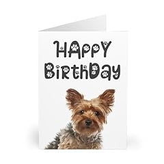 Yorkshire terrier happy for sale  Delivered anywhere in UK