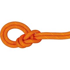 Mammut 9.8 crag for sale  Delivered anywhere in USA 