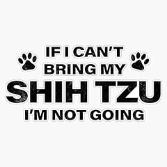 Bring shih tzu for sale  Delivered anywhere in USA 