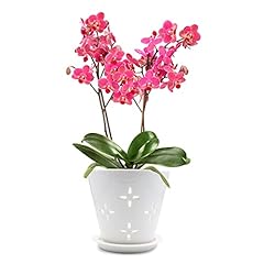 Larini ceramic orchid for sale  Delivered anywhere in USA 