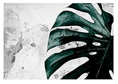 Fototapete blätter monstera gebraucht kaufen  Wird an jeden Ort in Deutschland