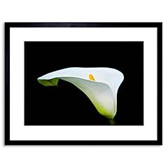 Photo macro nature for sale  Delivered anywhere in USA 