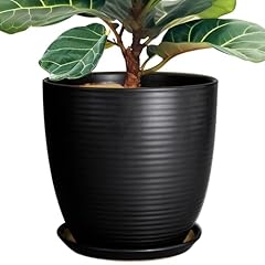 Epfamily inch pots for sale  Delivered anywhere in USA 