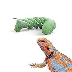 Live hornworms counts for sale  Delivered anywhere in USA 