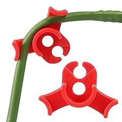 Lucyphy pack plant for sale  Delivered anywhere in USA 