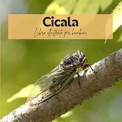 Cicala libro illustrato usato  Spedito ovunque in Italia 