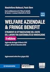 Welfare aziendale fringe usato  Spedito ovunque in Italia 