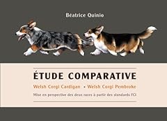 étude comparative welsh d'occasion  Livré partout en France