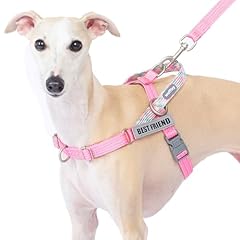 Wuffley easy walk for sale  Delivered anywhere in USA 