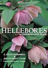 Hellebores comprehensive guide usato  Spedito ovunque in Italia 