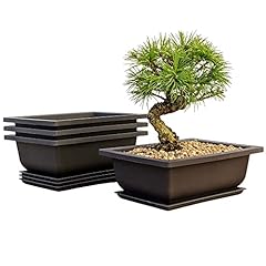 Bonsai outlet training for sale  Delivered anywhere in USA 