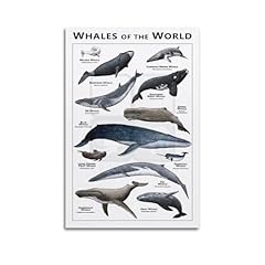 Huana vintage poster for sale  Delivered anywhere in UK