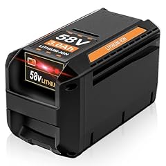 Capowill 58v 3.0ah for sale  Delivered anywhere in USA 