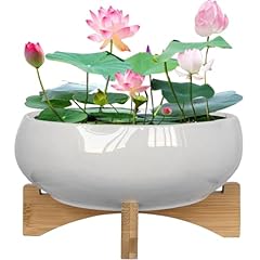 Muzhi white ceramic for sale  Delivered anywhere in USA 