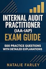 Internal audit practitioner usato  Spedito ovunque in Italia 