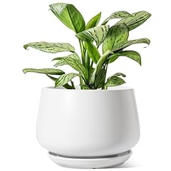 Tauci ceramic planters for sale  Delivered anywhere in USA 
